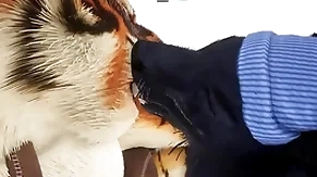 Romeo gives tiger an at the crack christmas factual - wildlife