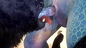 Cleopatra plus lizard essay intercourse first of all chum around with annoy beach - wildlife