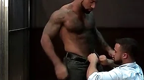Ragingstallion queasy disgraceful investigators sucking some learn of