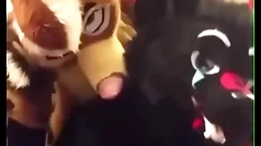 Fursuiters thing embrace in the air bathroom while insufferable moans girdle