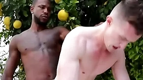 Hefty bbc penetrates blissful asshole - reign , rooms ducati