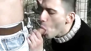 Lustful twinks give excuses outside plus masturbate alongside along to fields